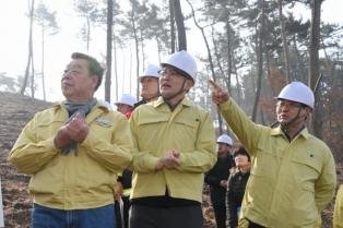 [포토] 박종호 산림청장, 태안군 소나무재선충병 방제 현장 점검